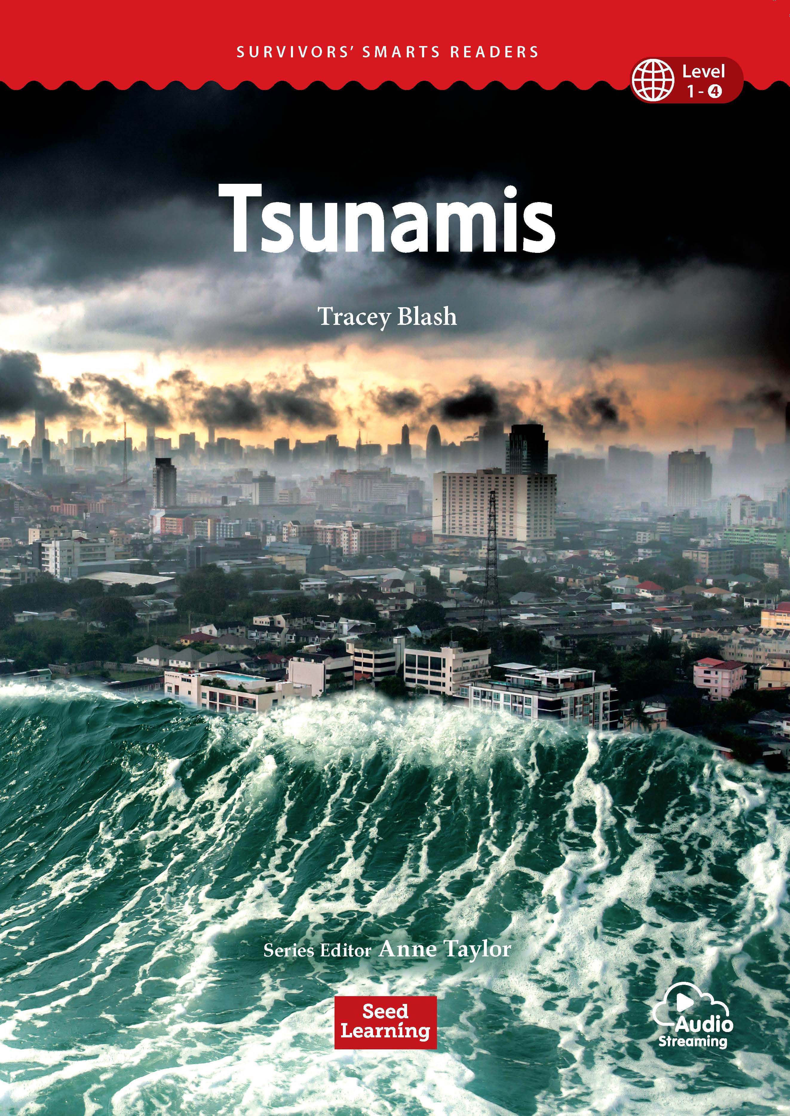 Tsunami montenegro